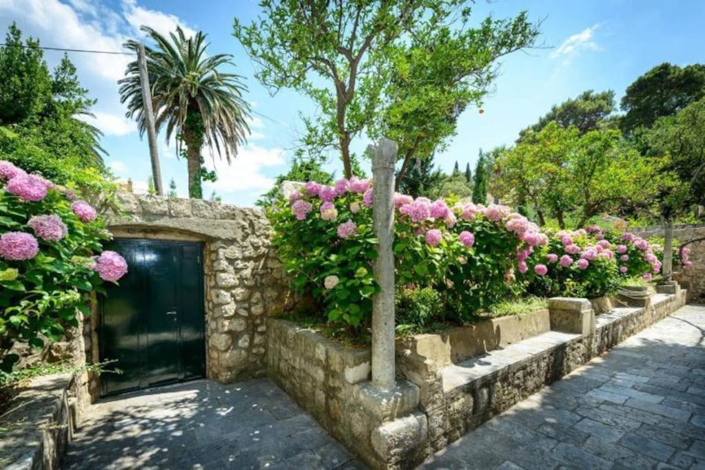The Soldo's Apartament