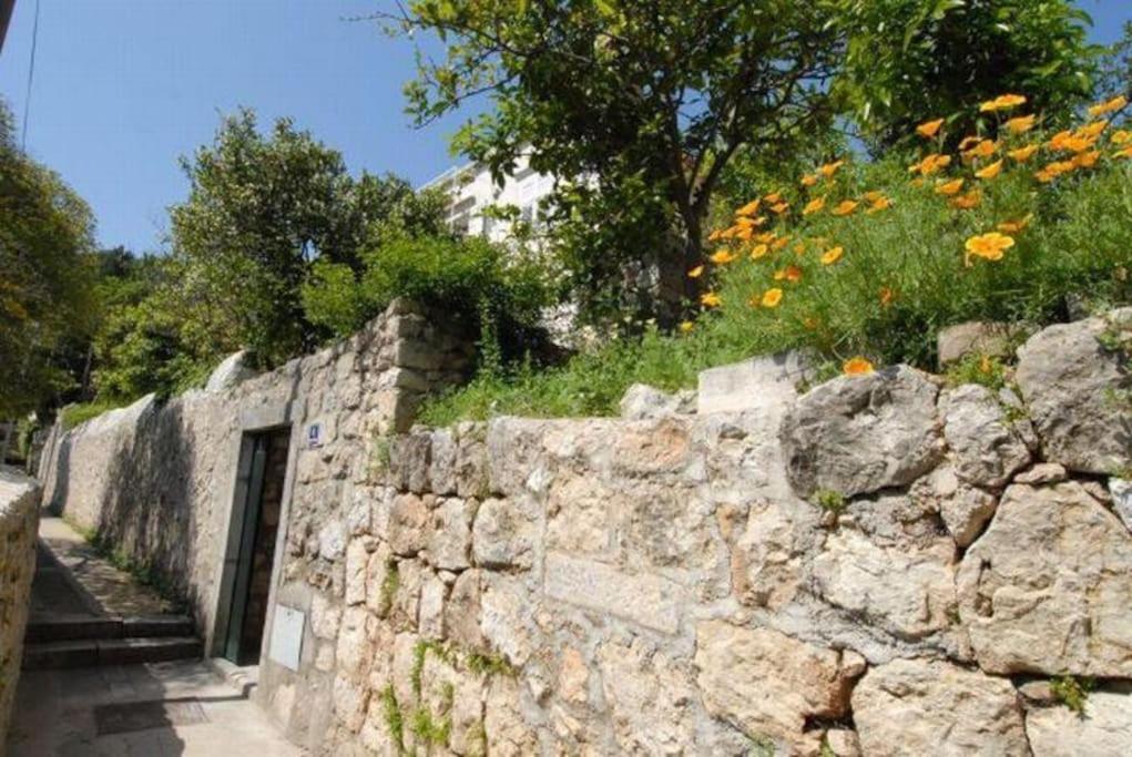 The Soldo's Apartament